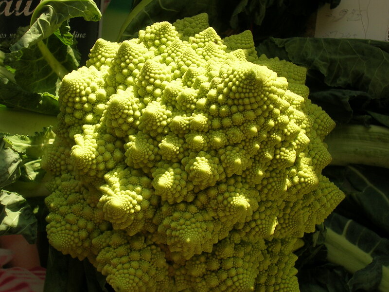 Romanesco Broccoli — Green