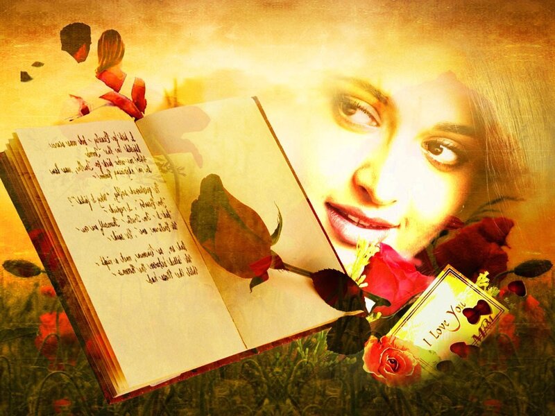 Romantic book with roses