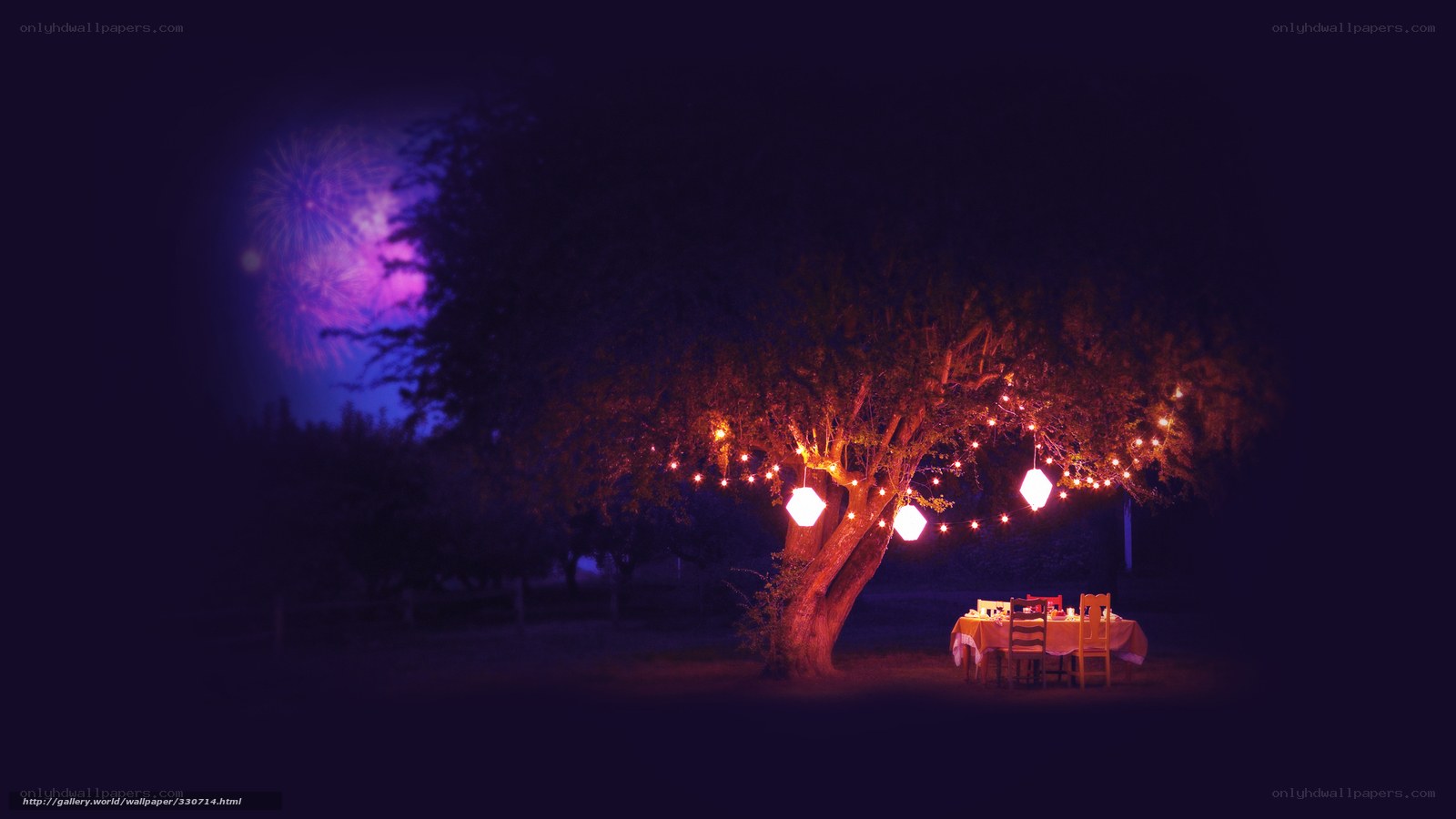 Romantic dinner under fireworks