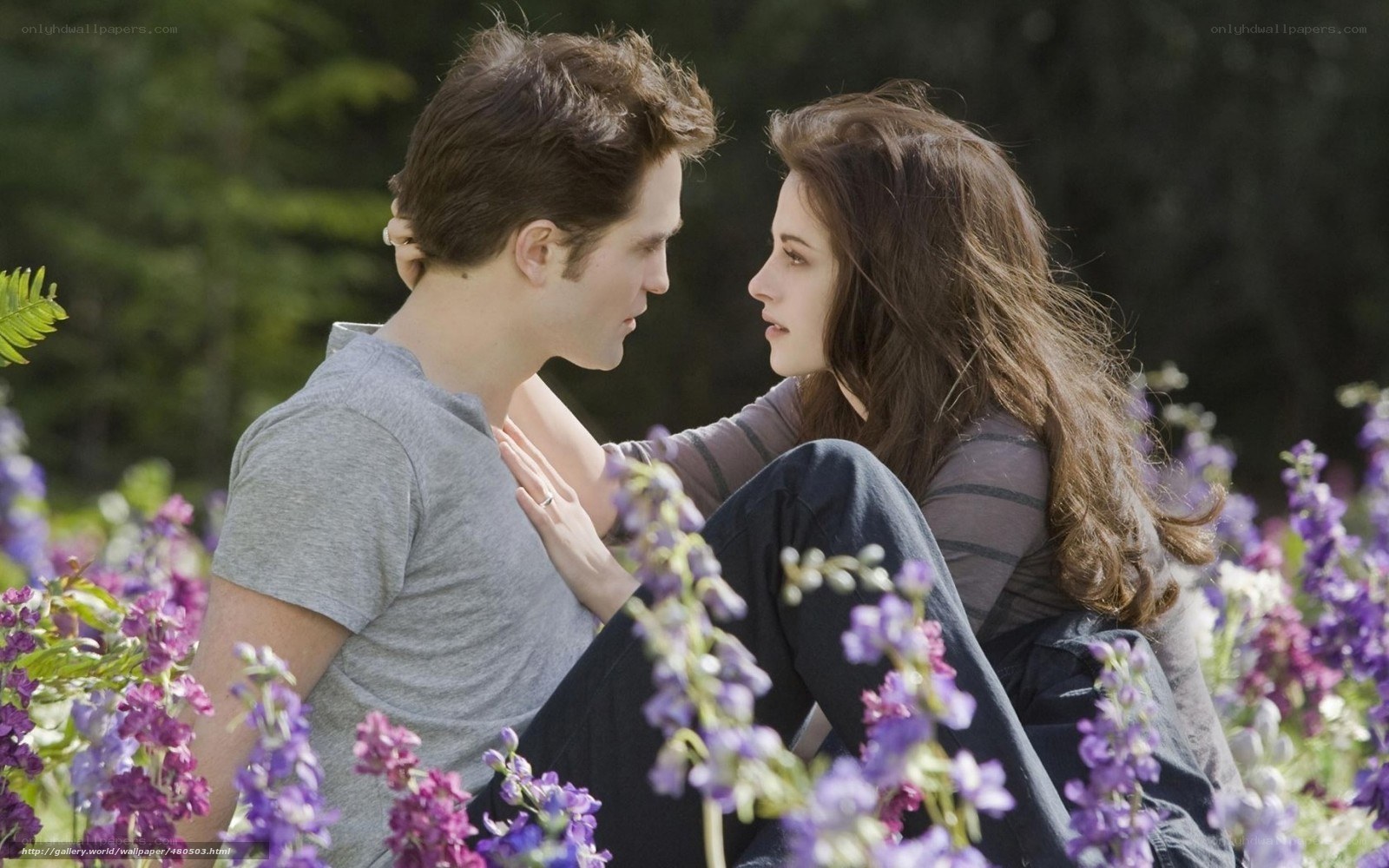 romantic moment in flowers