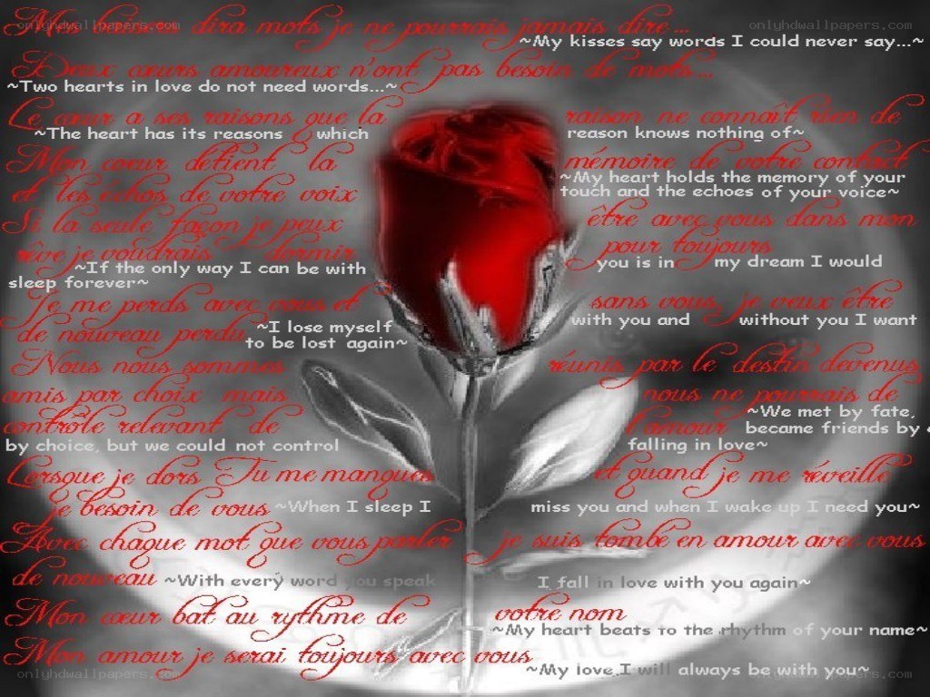 Romantic poem with rose