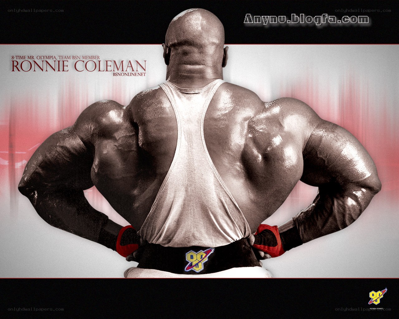 Ronnie Coleman back view