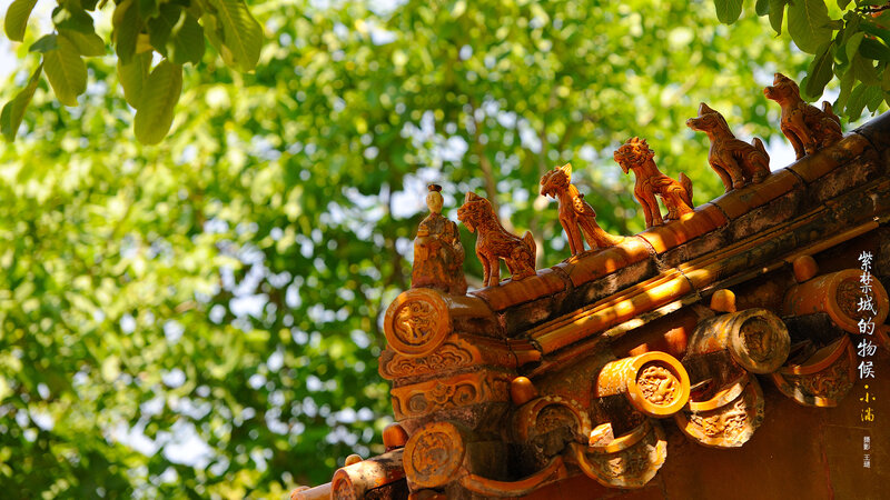 Roof Figurines on a Temple
