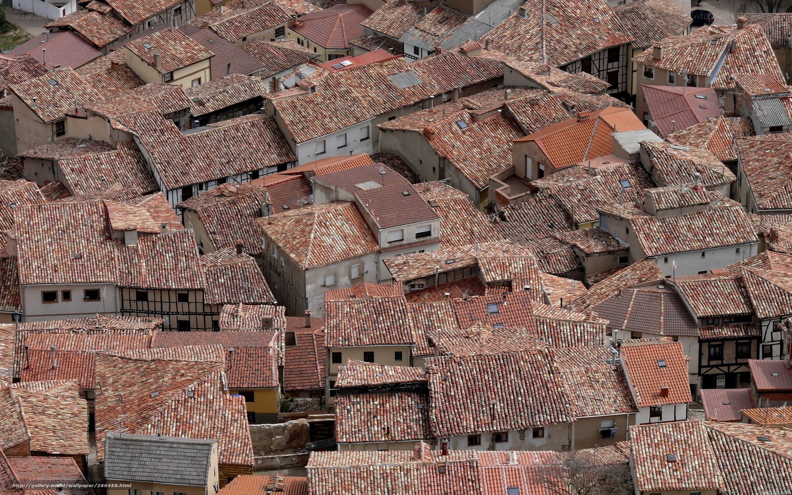 Roof tiles in a historic town