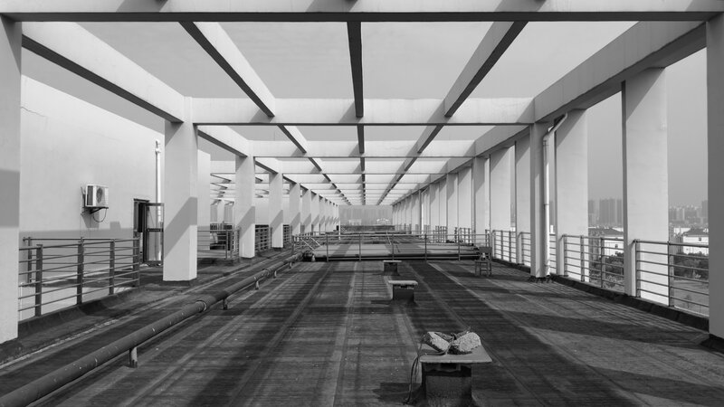 Roof Walkway Structure