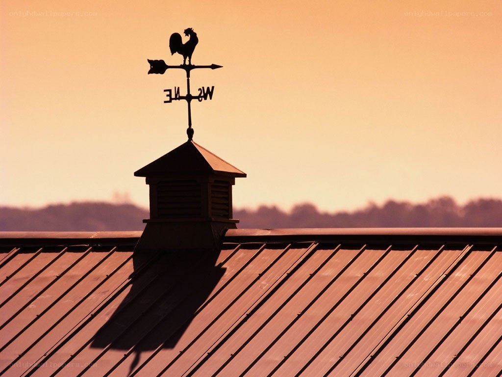 Roof with rooster weather vane
