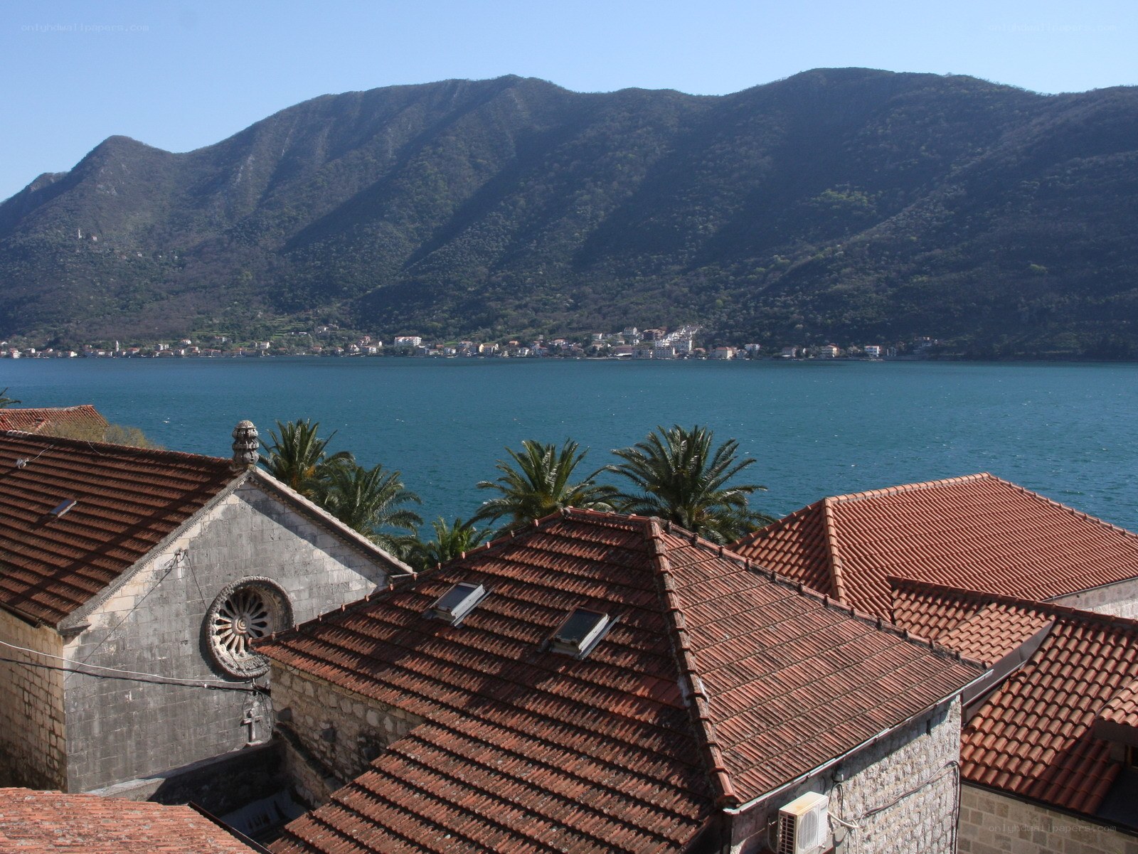 Roofs overlooking a coastal town