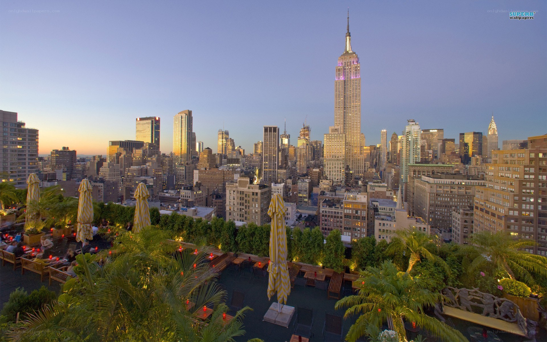 Rooftop bar with Empire State Building view