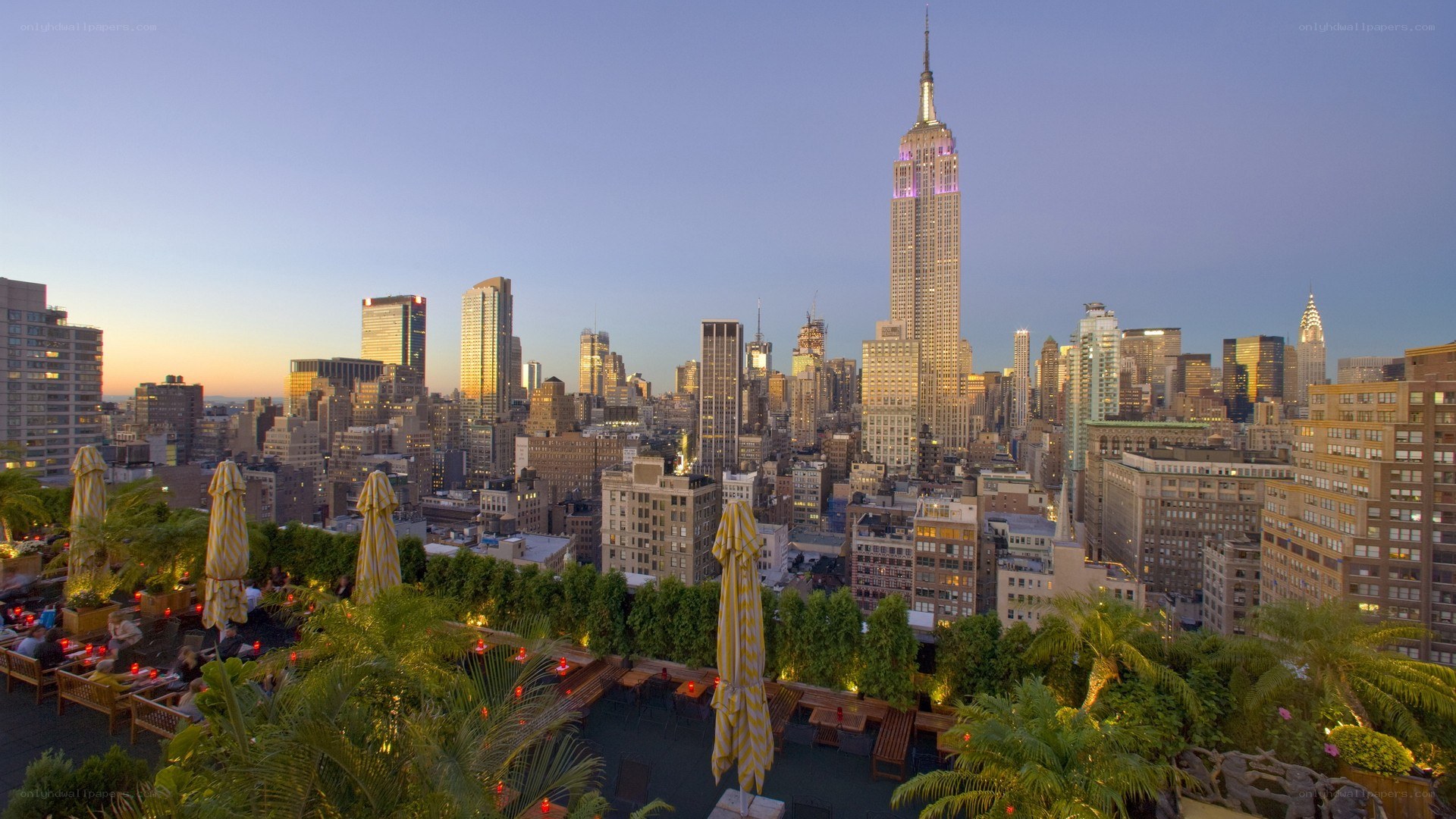 Rooftop bar with Empire State Building view