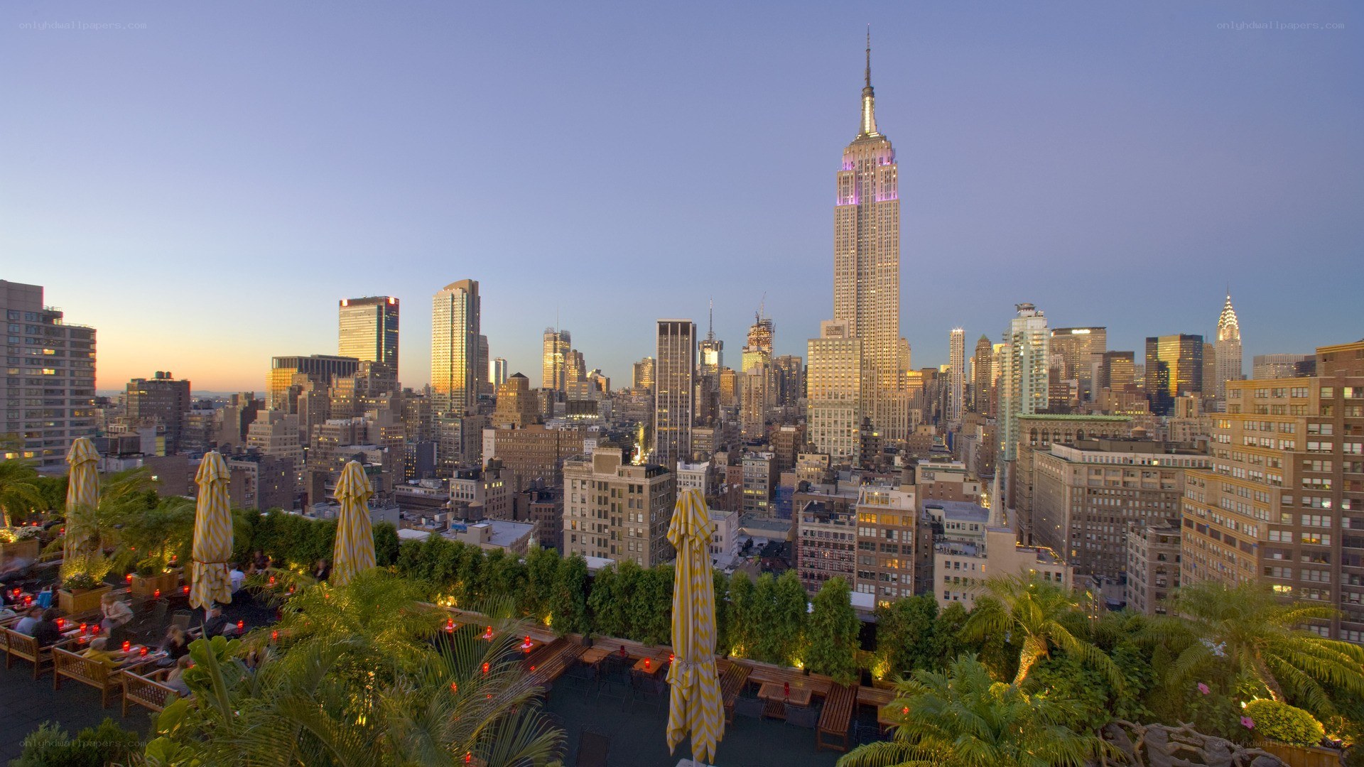 Rooftop bar with Empire State Building view