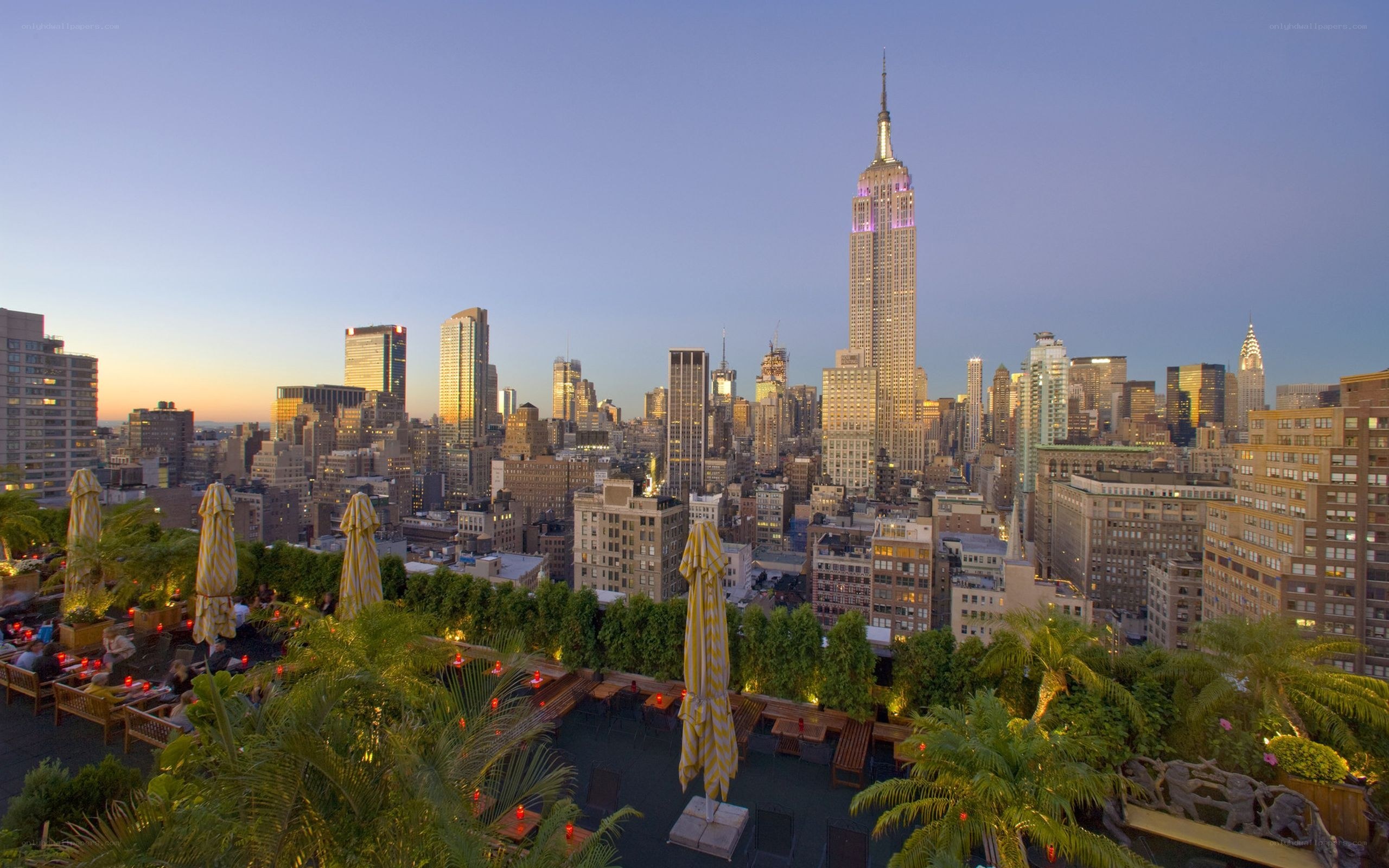 Rooftop bar with Empire State Building view