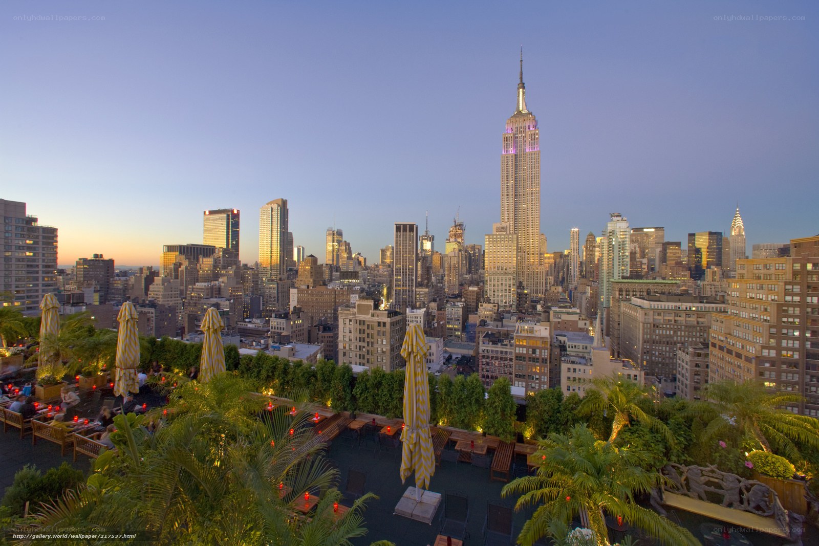 Rooftop bar with Empire State Building view