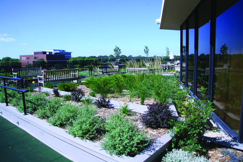 Rooftop garden with benches