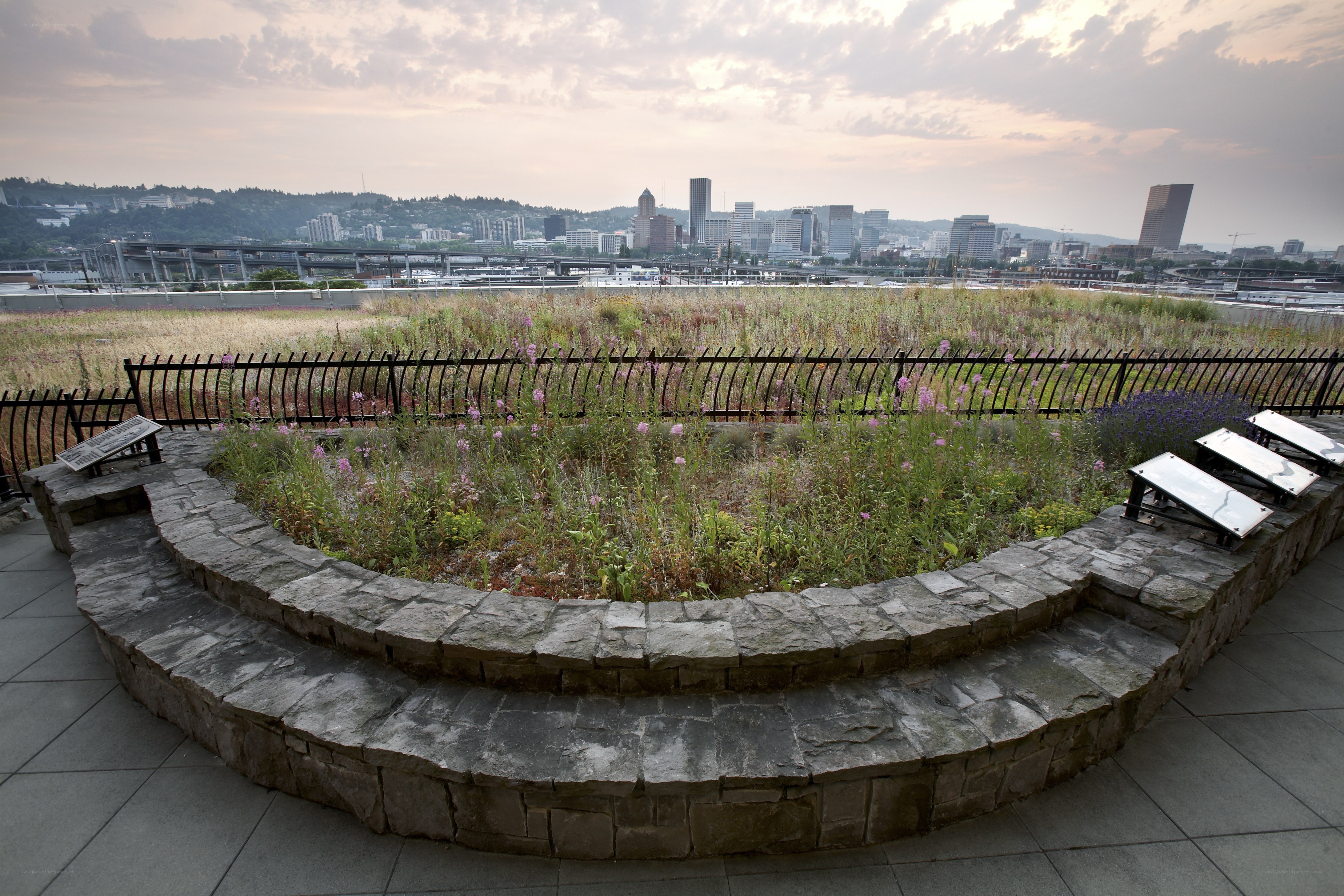 Rooftop garden with city view