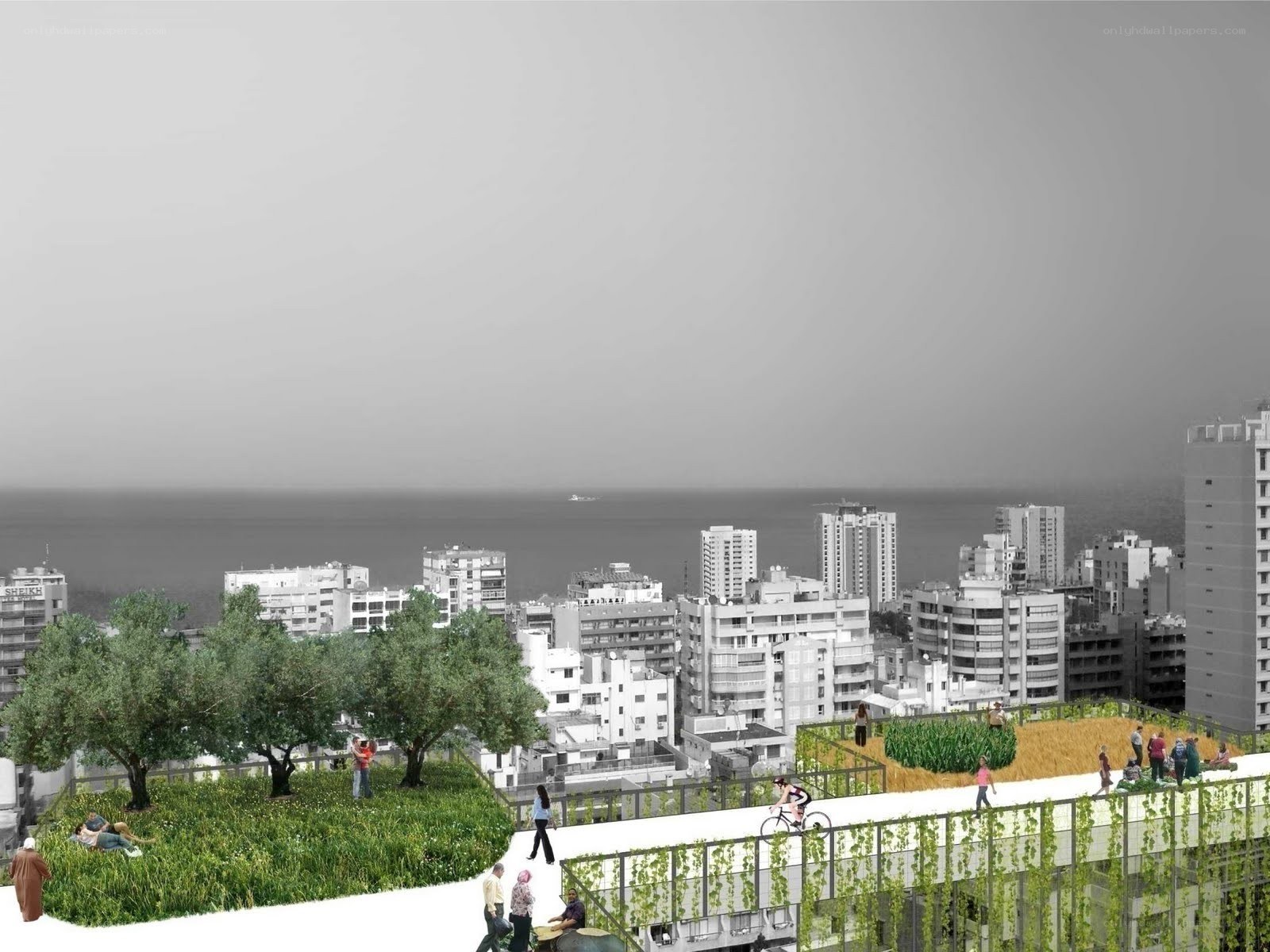 Rooftop garden with city view