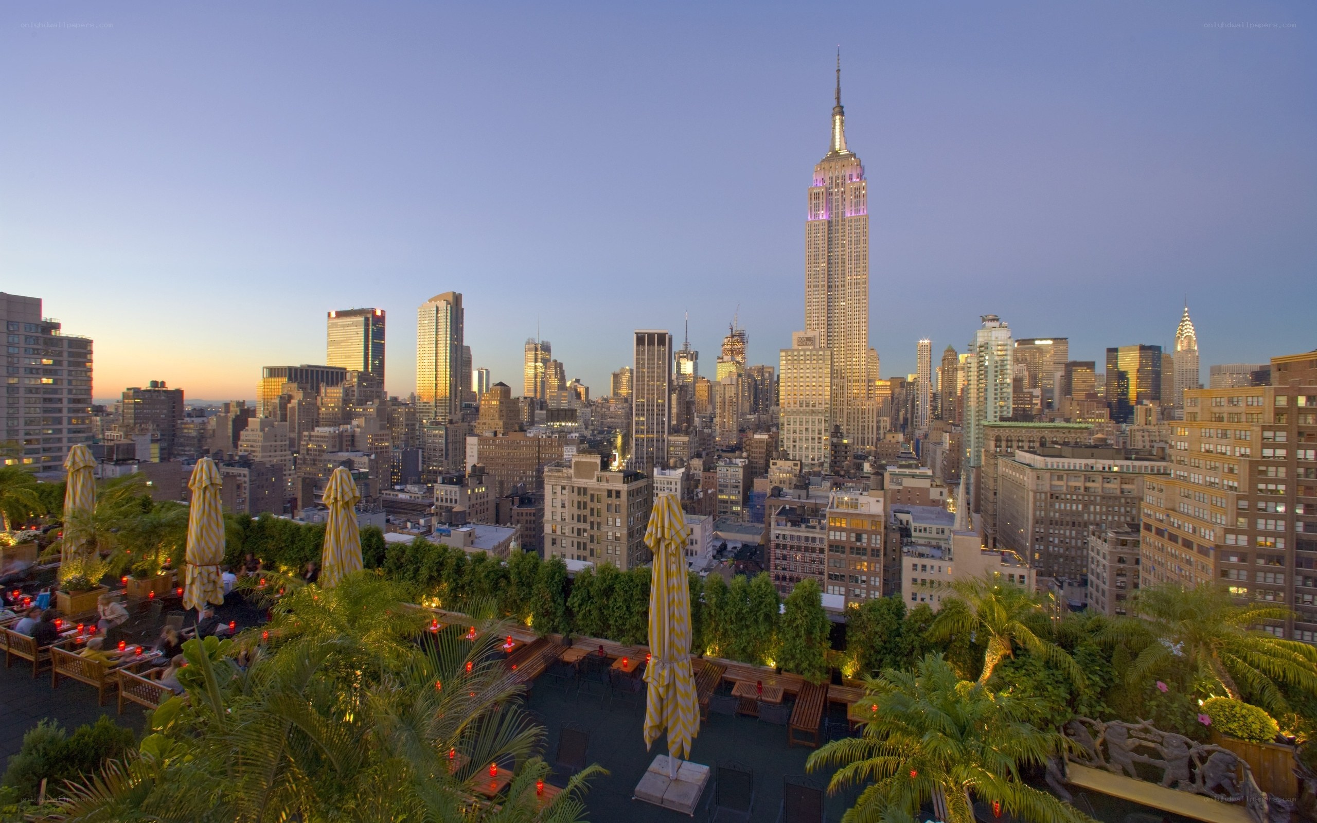 Rooftop view of NYC skyline