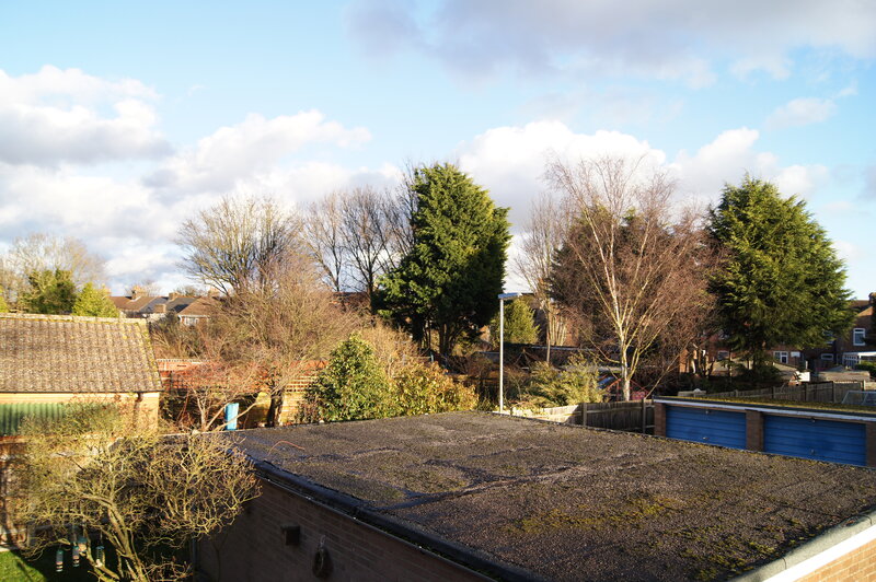 Rooftop View of Residential Area