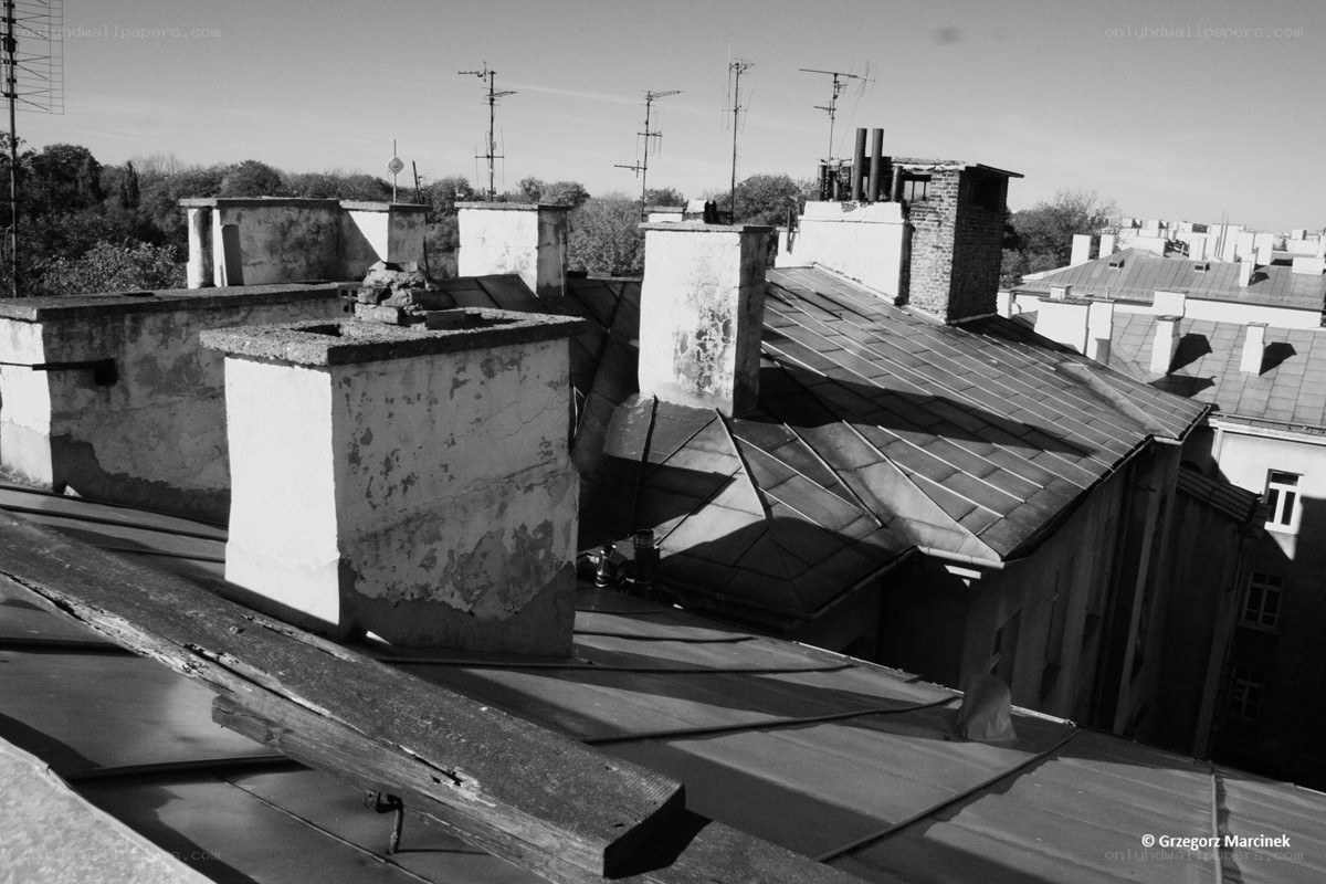 rooftops and chimneys