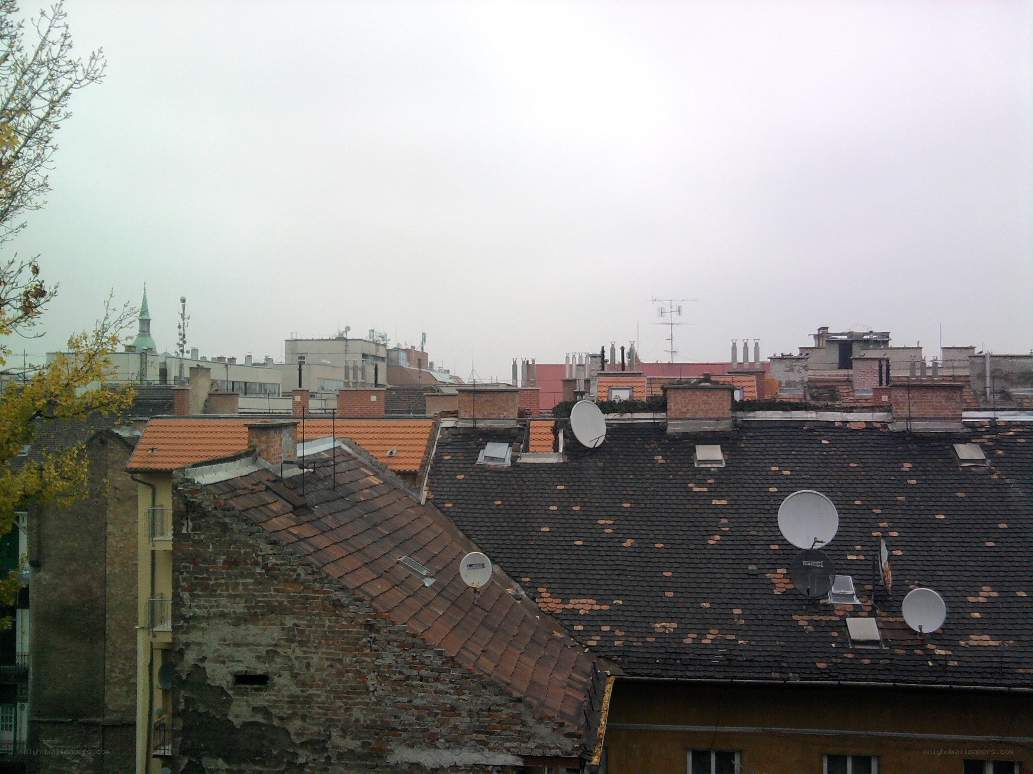 rooftops in a city