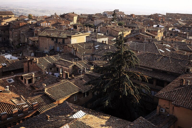 rooftops of an old italian town