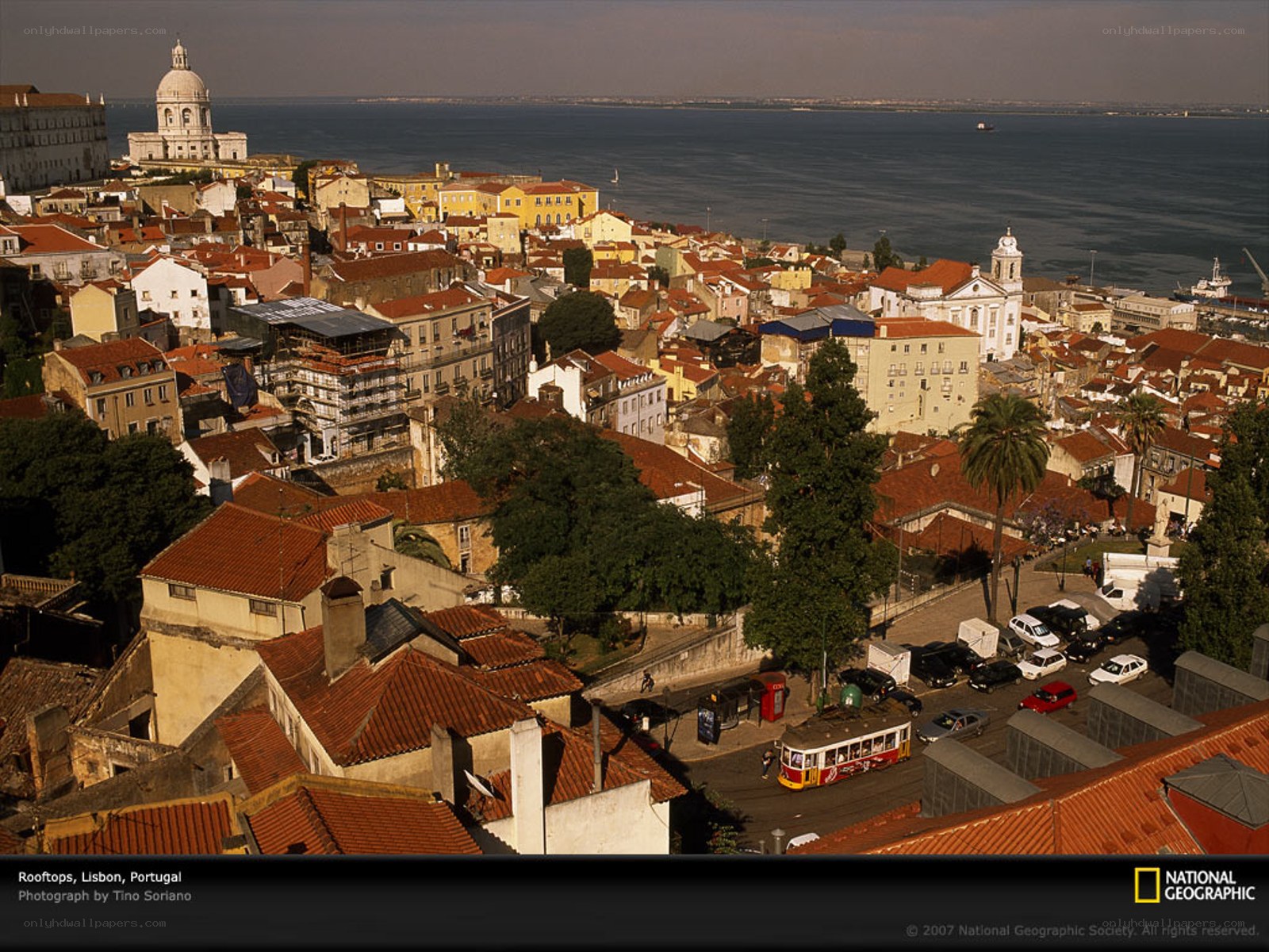 Rooftops of Lisbon