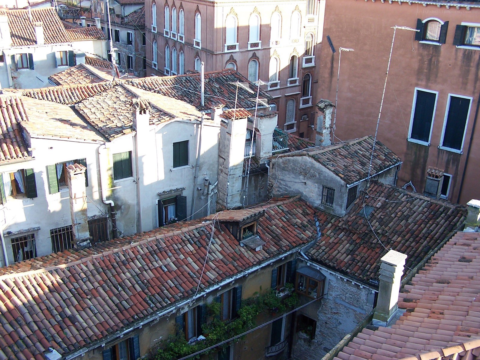 rooftops of venice