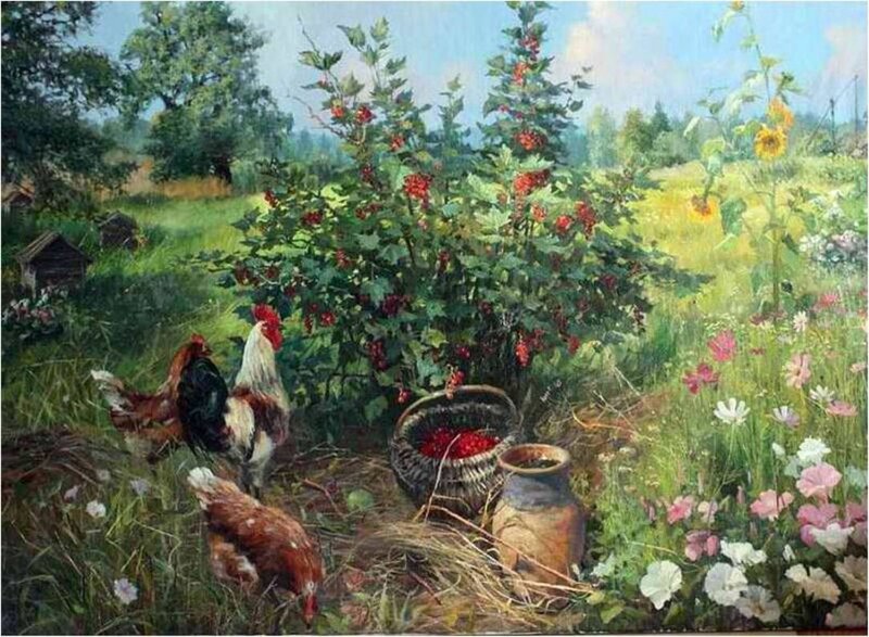 Rooster and Chickens