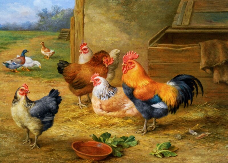 Rooster and Hens in Coop