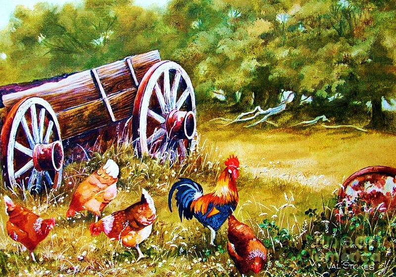 Rooster and Hens in Field