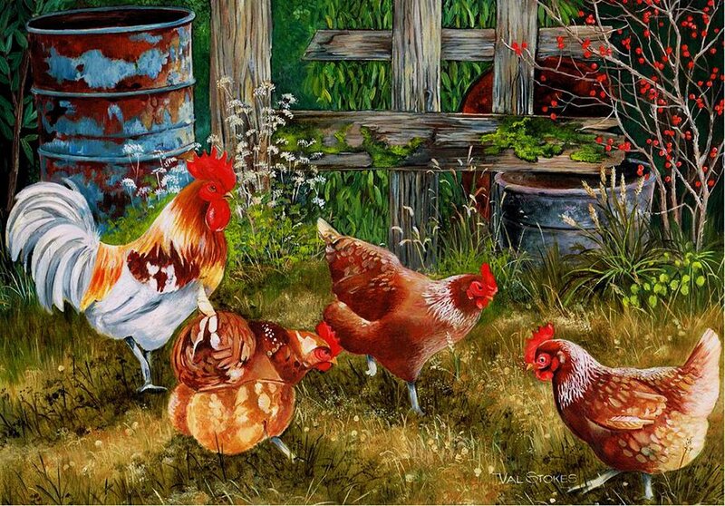 Rooster and Hens in Garden