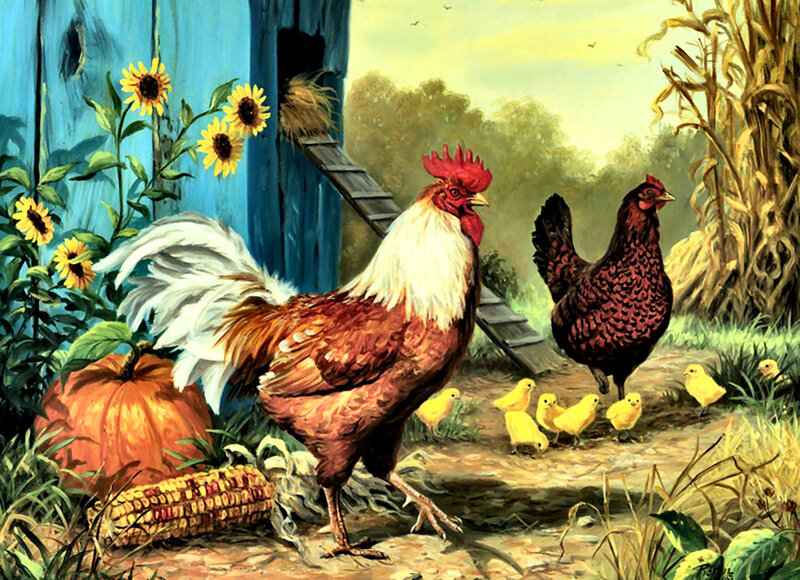 Rooster and Hens