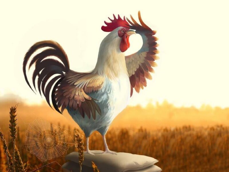 Rooster in Wheat Field
