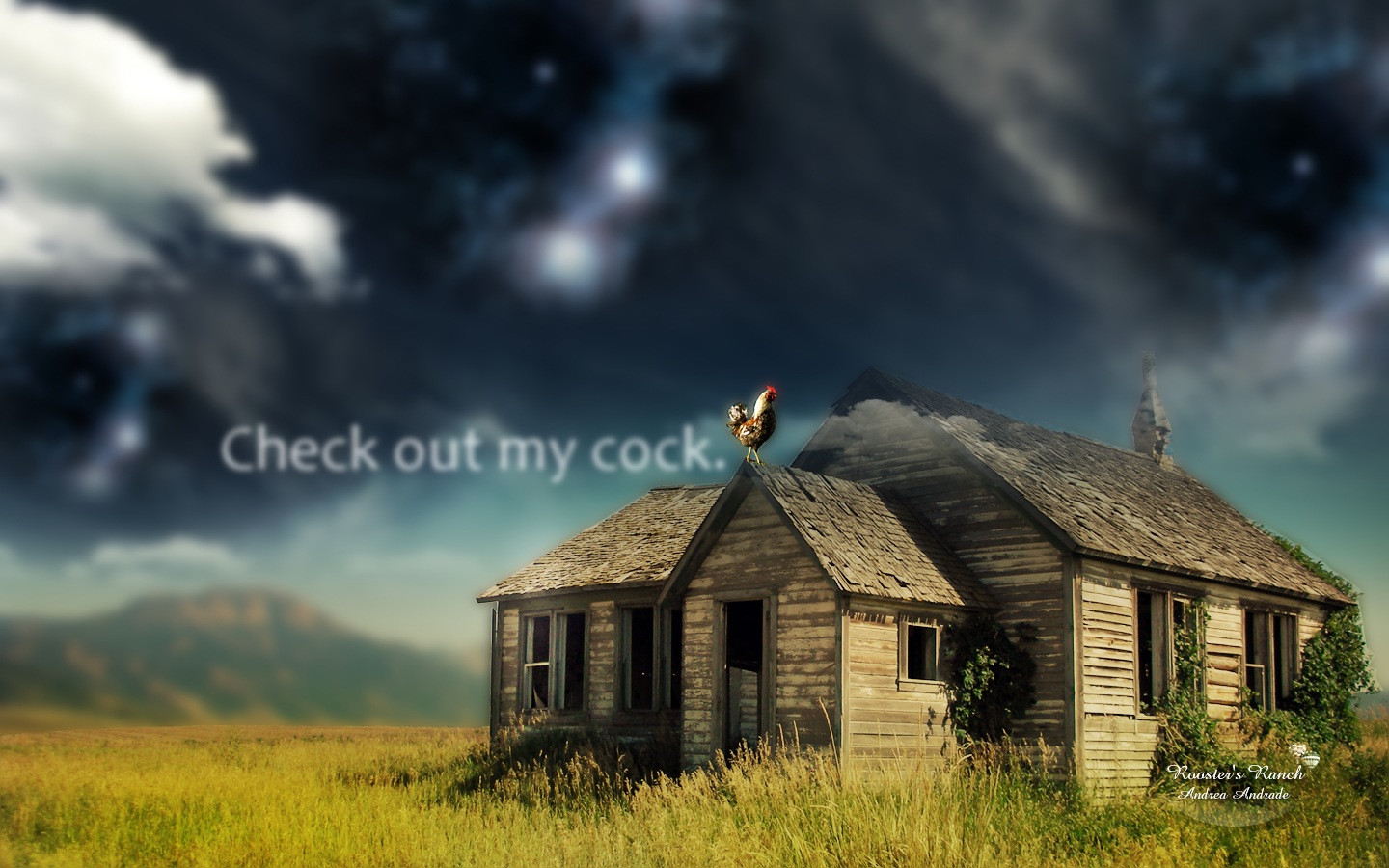 Rooster on a barn roof