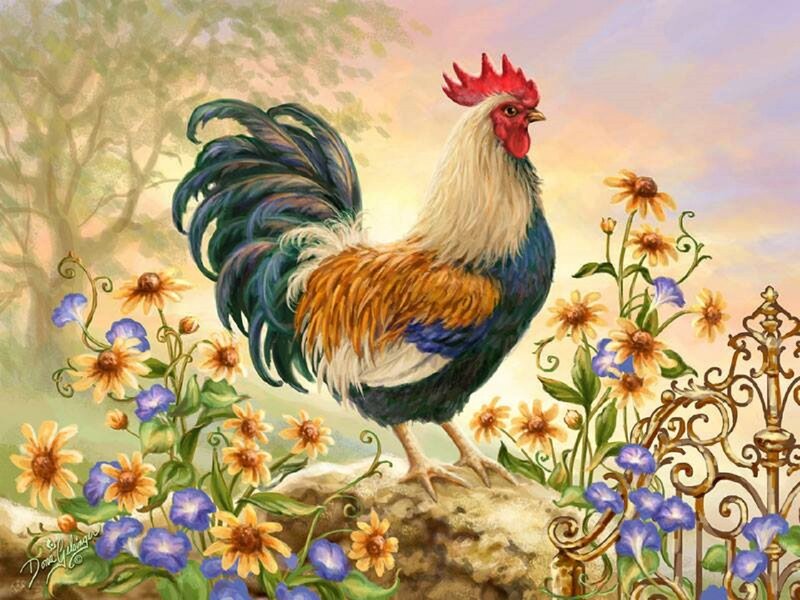 Rooster on a Rock