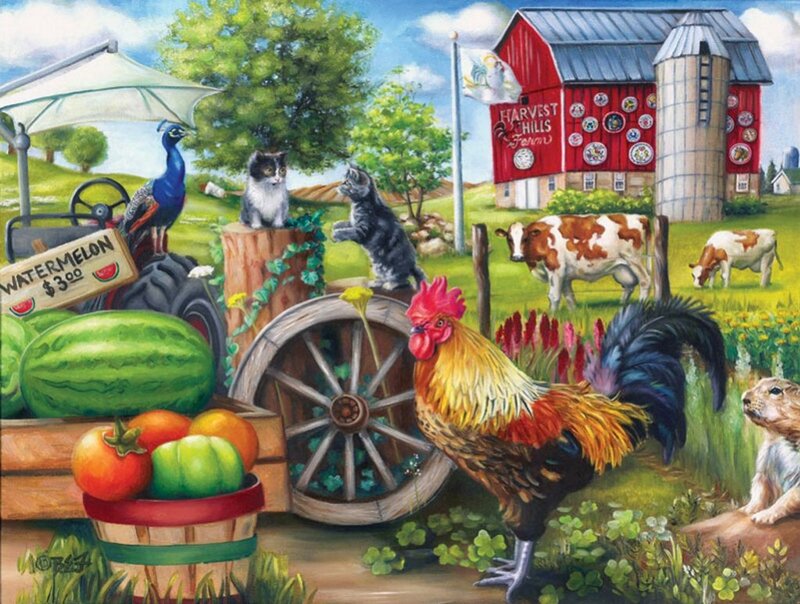 Rooster on Farm