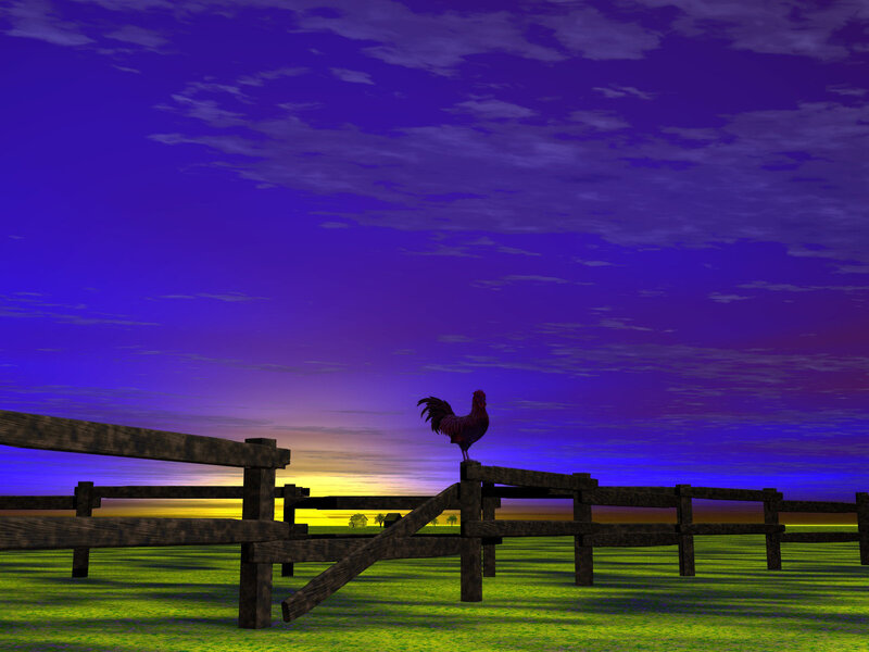 Rooster on Fence — Purple
