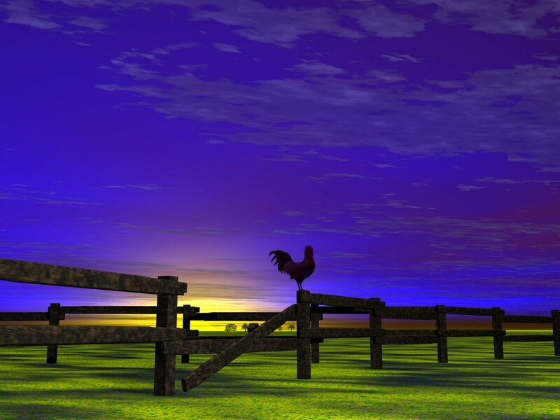 Rooster on Fence