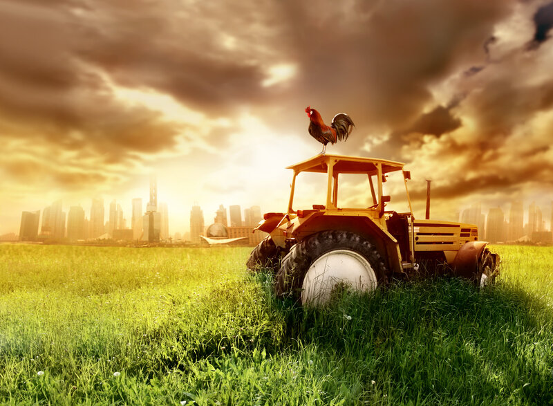 Rooster on Tractor — Green