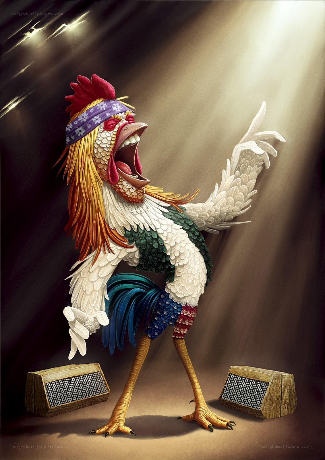 rooster performing on stage
