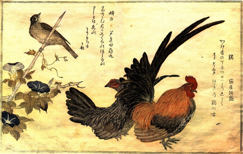 Roosters and Bird on Branch