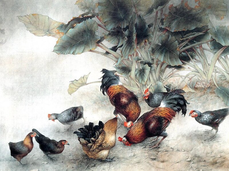 Roosters and Hens