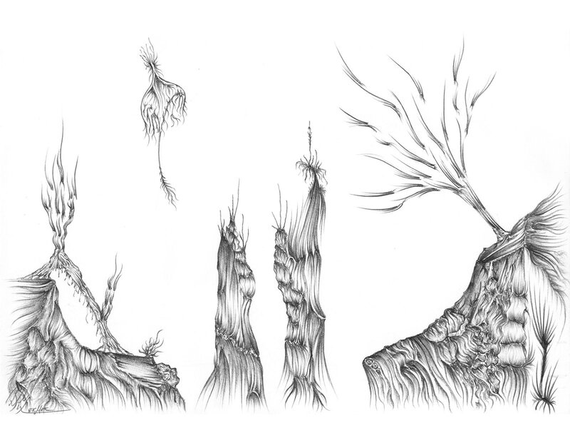 Rooted Plant Forms