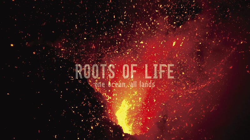 Roots of Life