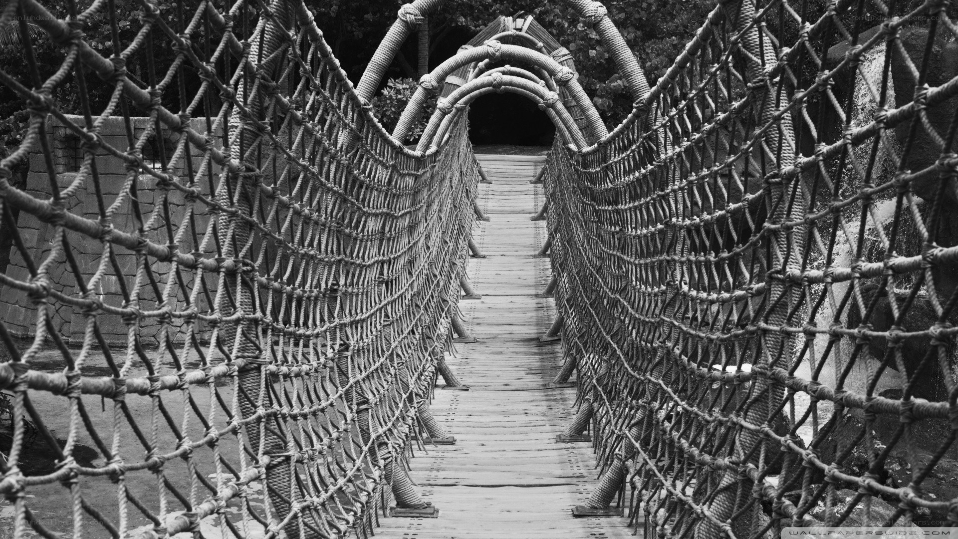 Rope bridge in black and white