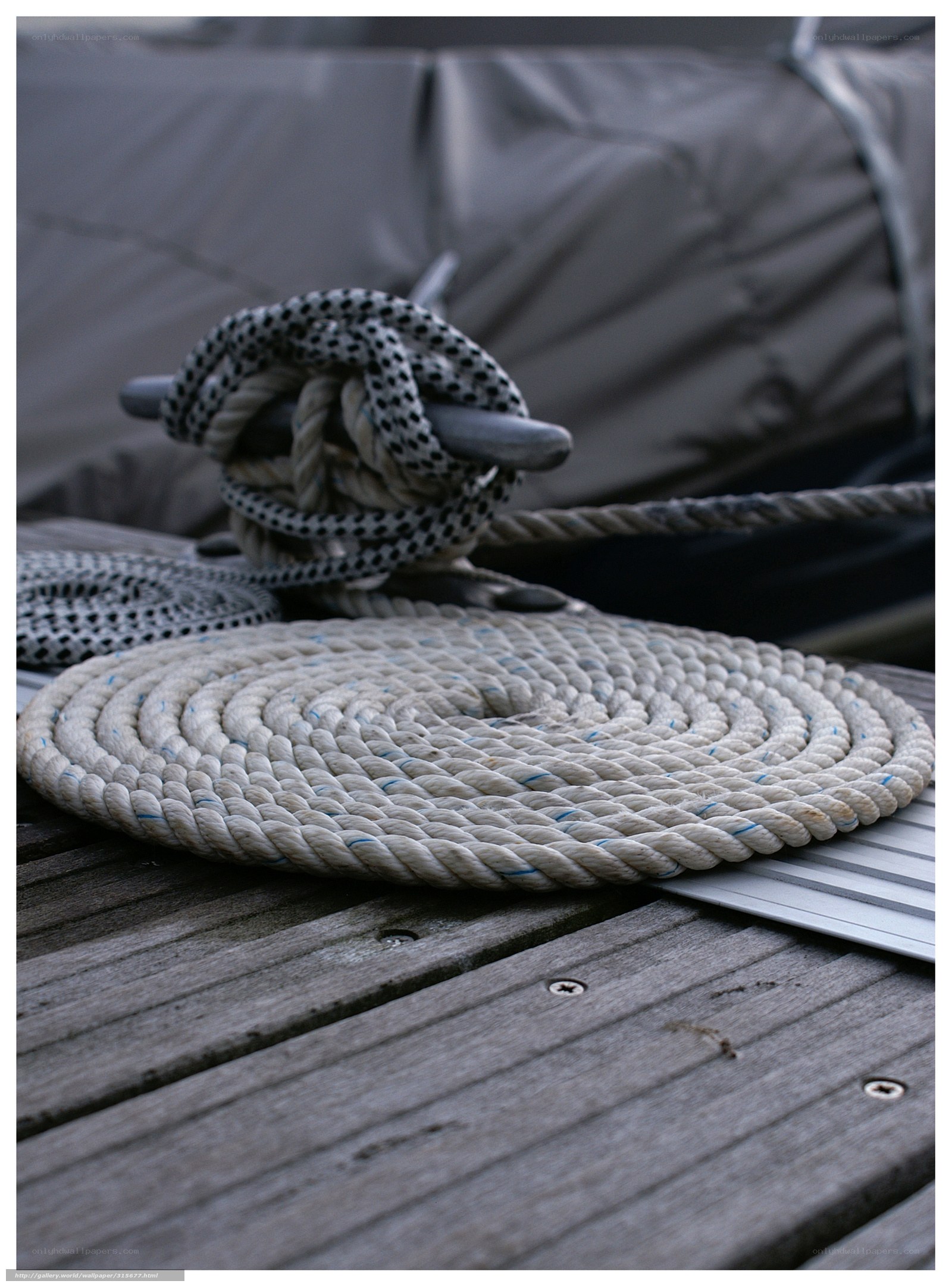 Rope coiled on a dock
