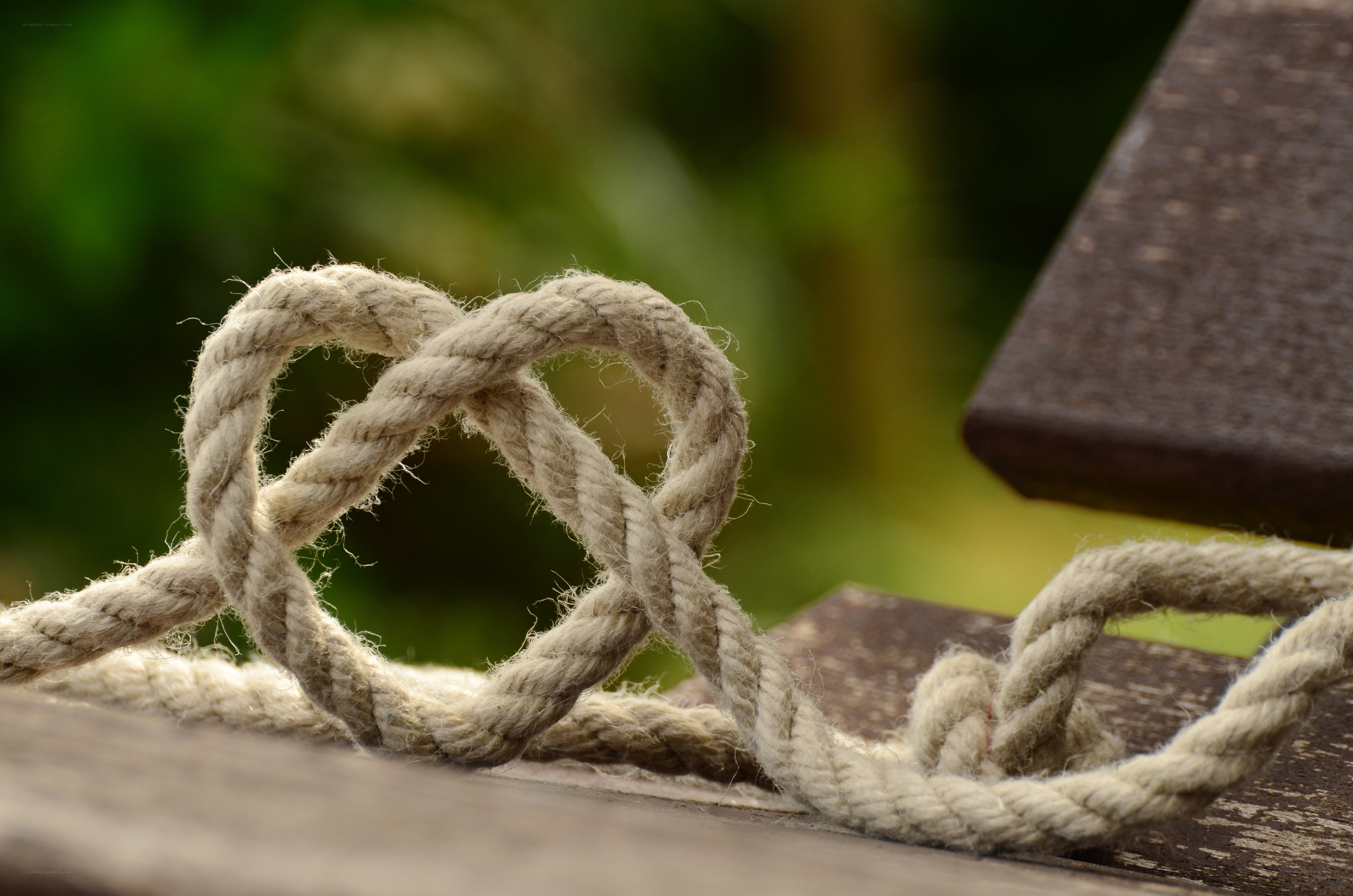 rope knot on wooden surface