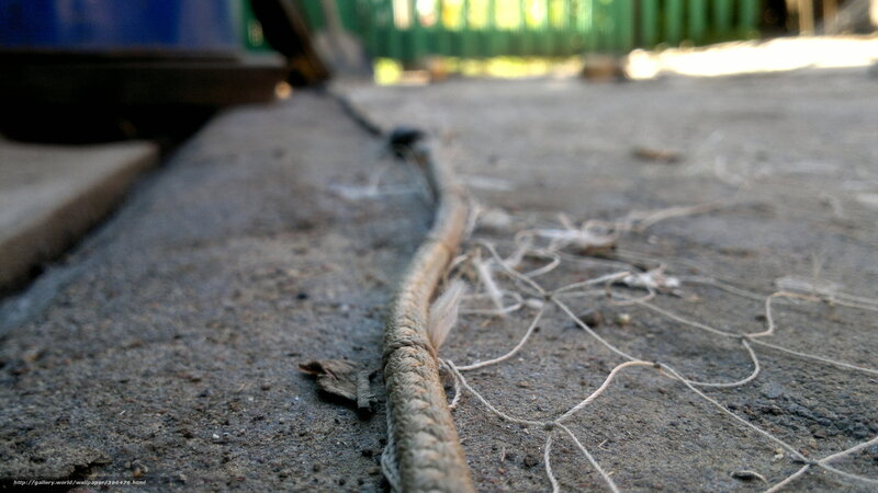 Rope on concrete ground