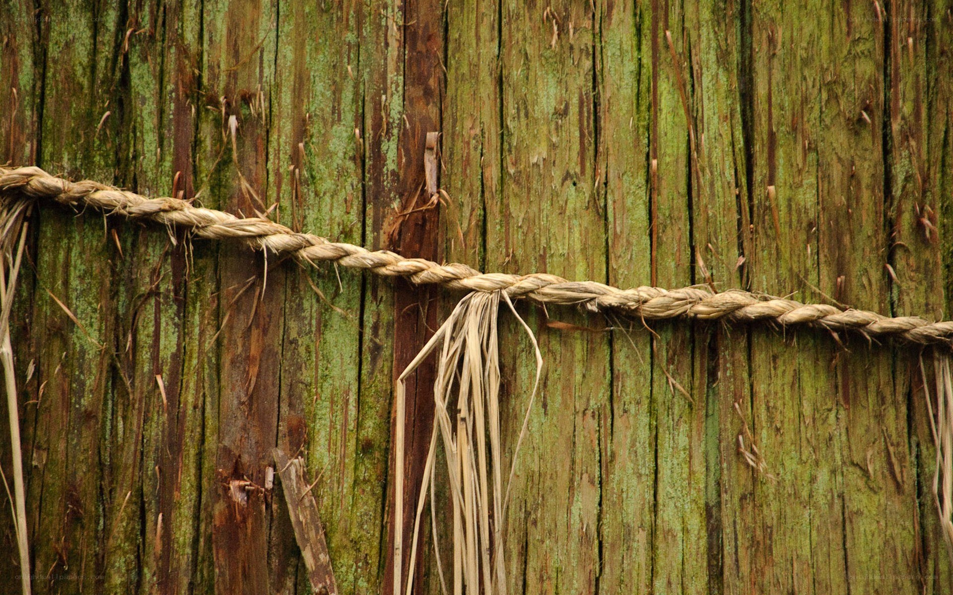 Rope on wooden wall