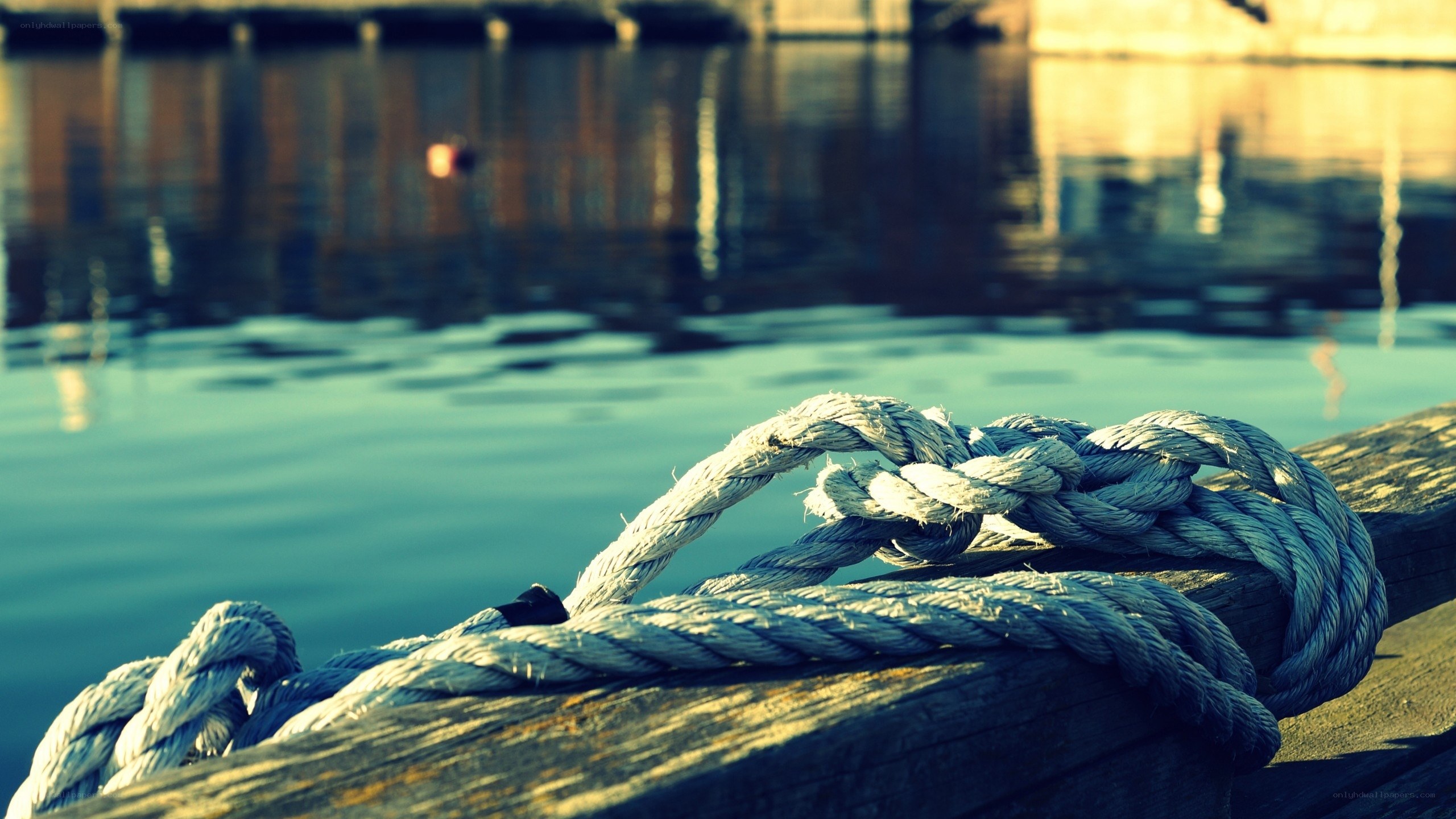 rope tied at a dock