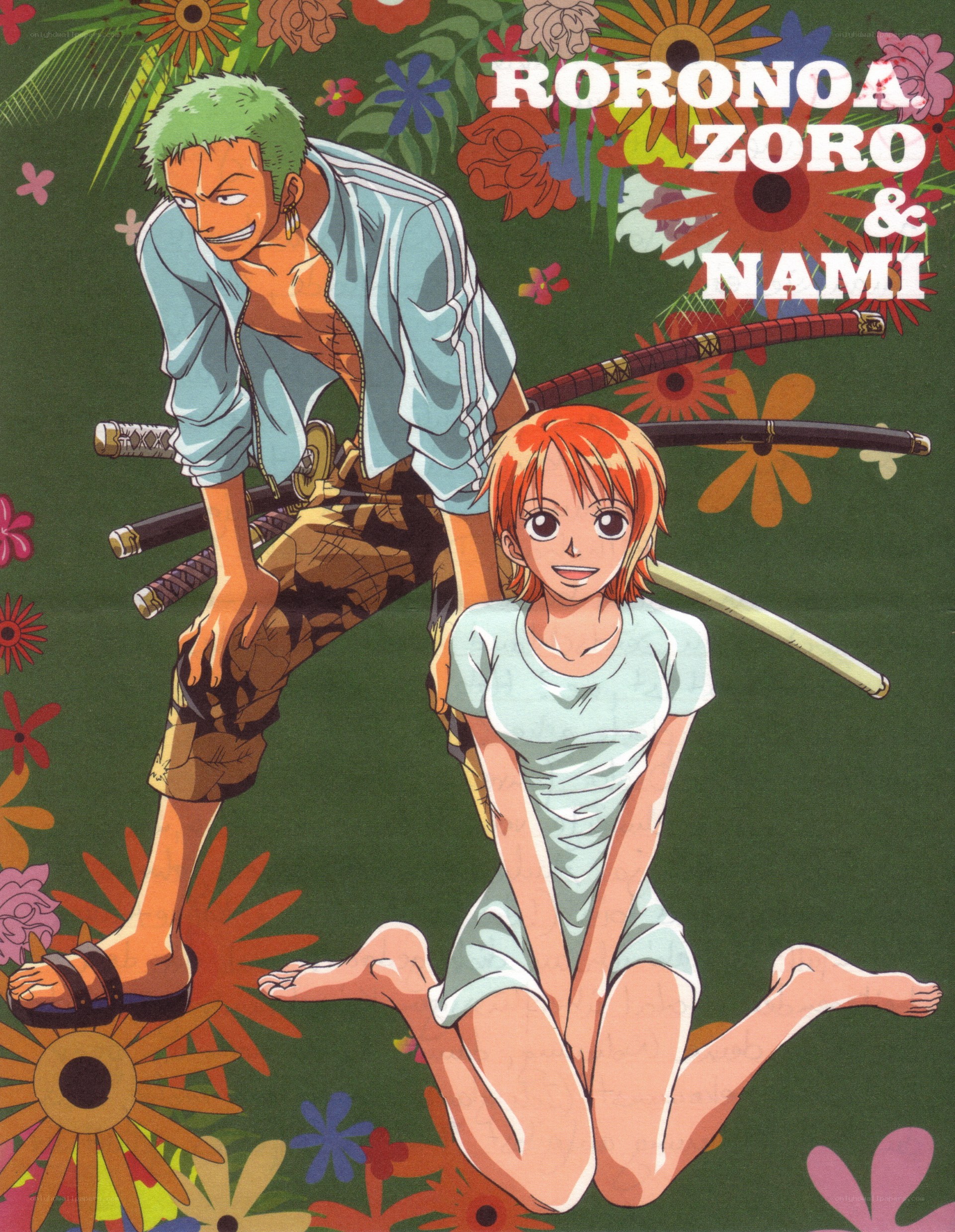 Roronoa Zoro and Nami